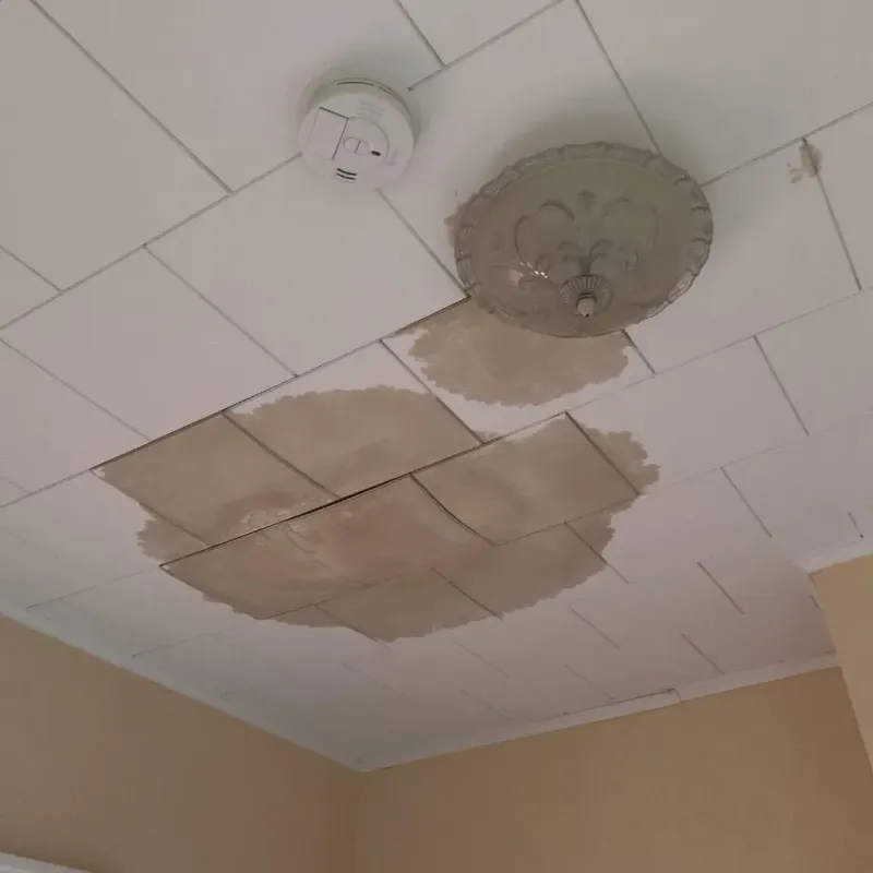 Ceiling Water Damage Repair in Minoa, NY